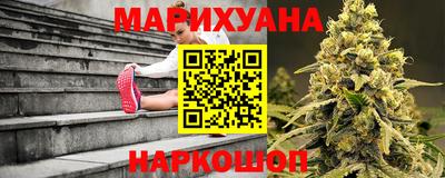 сатива Будённовск