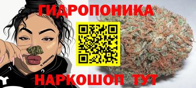 гидра Бузулук