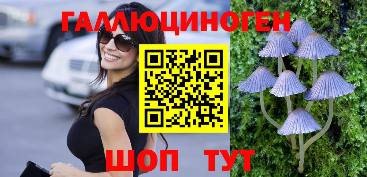 Псилоцибиновые грибы Psilocybe Астрахань
