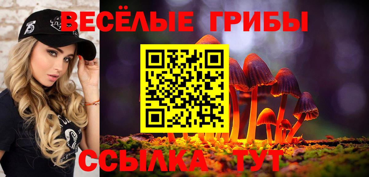 Астрахань  Псилоцибиновые грибы Magic Shrooms  где купить наркоту  Вход с VPN 
